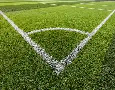 球迷与教练,冲突,篮球赛场上,ebpay,钱包官网,ebpay下载,ebpay官网