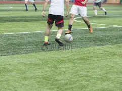 首战波黑遗,憾失利,字母哥轮休,ebpay,钱包官网,ebpay下载,ebpay官网