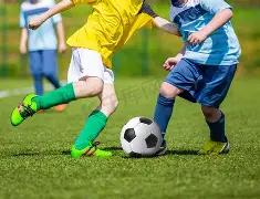 中阿经贸合,作迈向数字,未来,ebpay,钱包官网,ebpay下载,ebpay官网