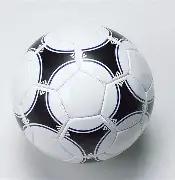 西湖引进高,科技,护水军团,ebpay,钱包官网,ebpay下载,ebpay官网