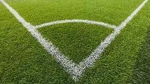 CBA球迷与教练冲突：篮球赛场上的激烈交锋