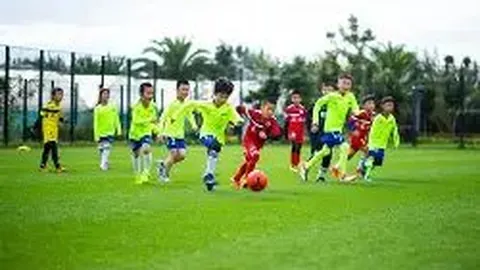 三夫户外（002780）2025年上半年管理层分析与探讨