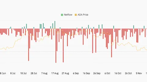 鲁能海外训练告一段落归国，五将投身抗疫献力爱心